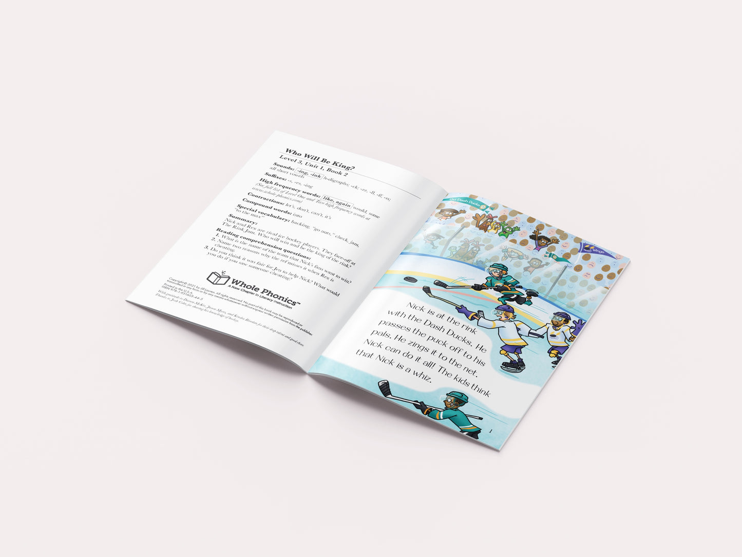 -ing -ink Decodable Books and Workbook Set