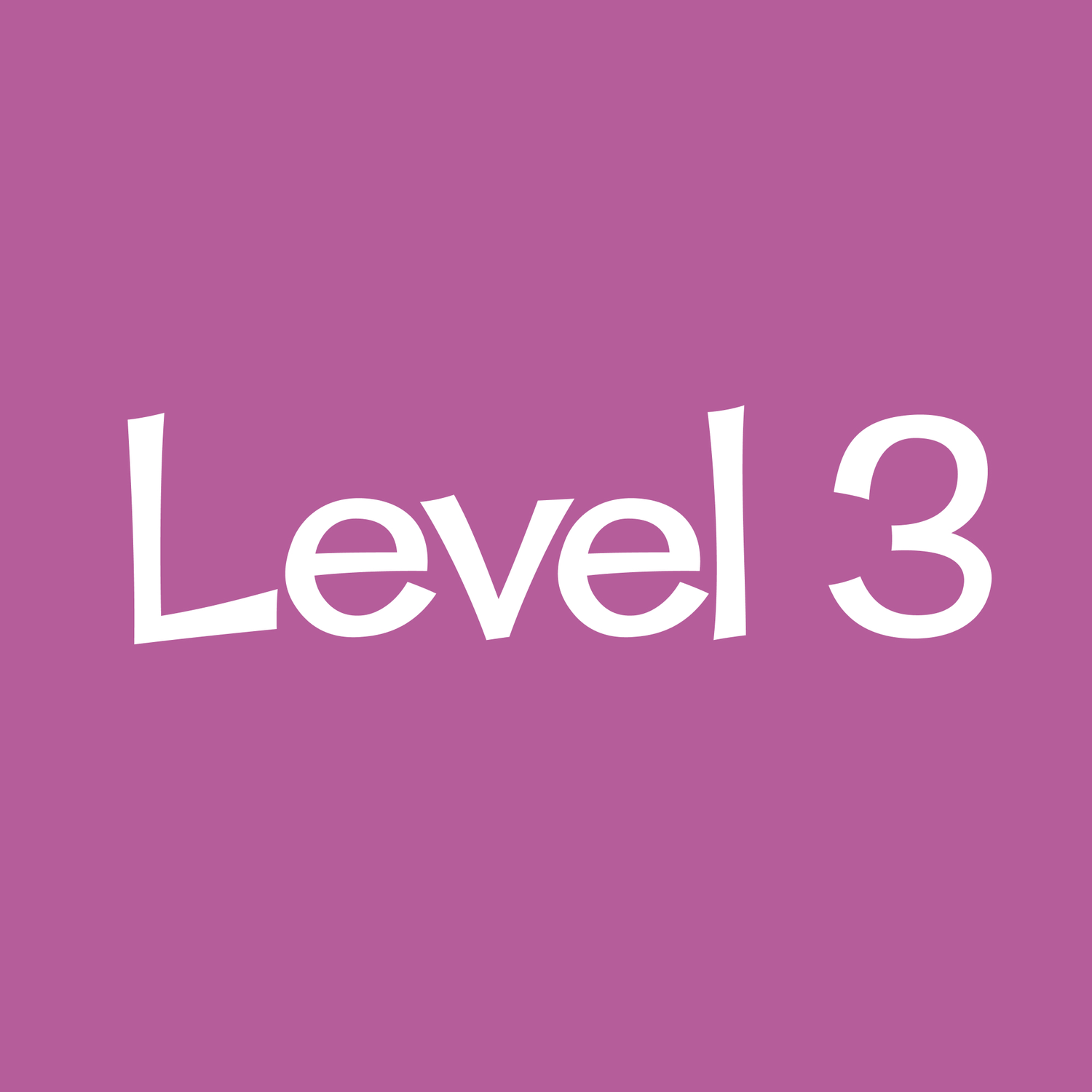 Level 3