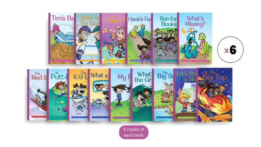 Small Group Glued Sounds & CCVC Decodable Book Set (90 items)