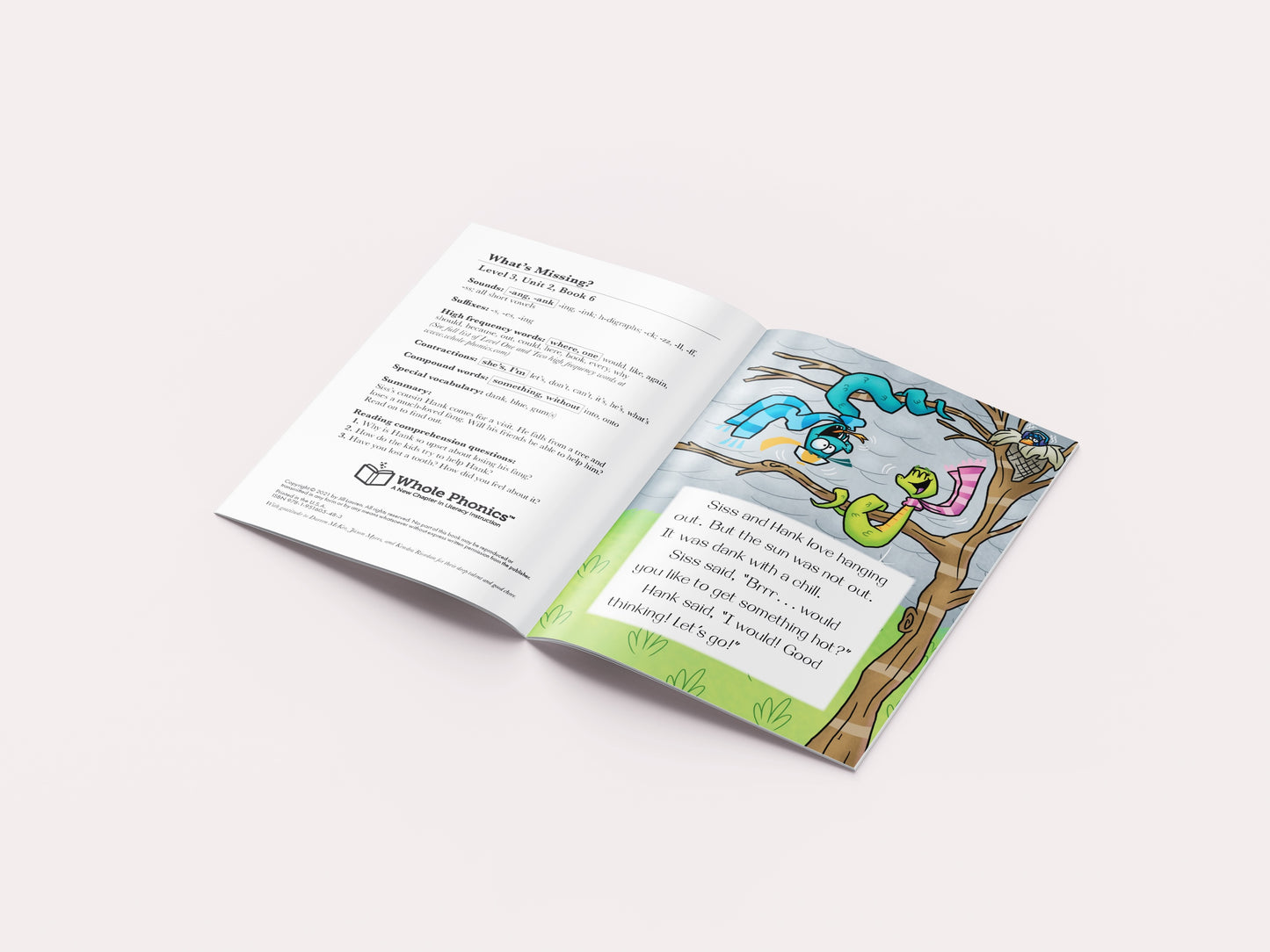 -ang -ank Decodable Book Set